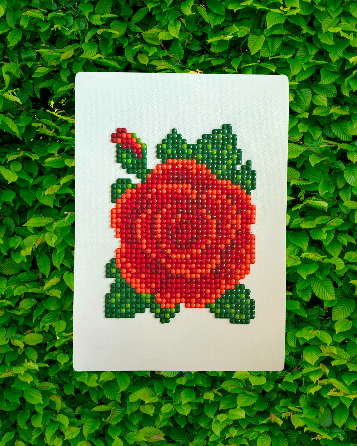 Fresh Flowers Edition 1.0