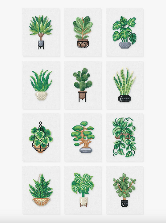 Indoor Plant Edition 1.0