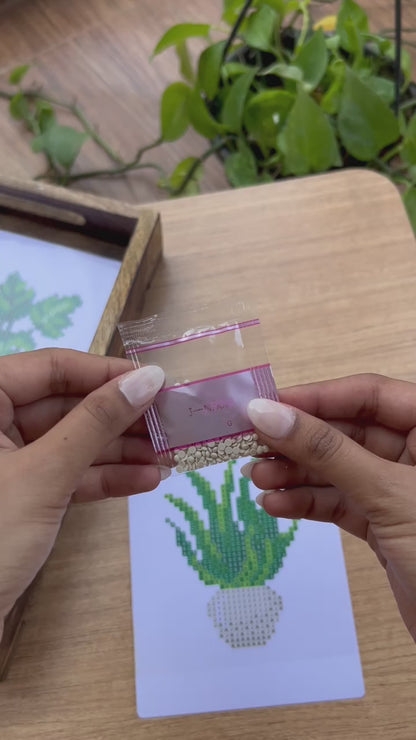 Indoor Plant Edition 1.0